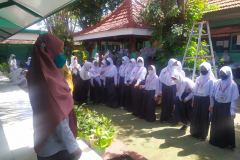 IMG-20220712-WA0006