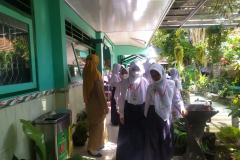 IMG-20220712-WA0009